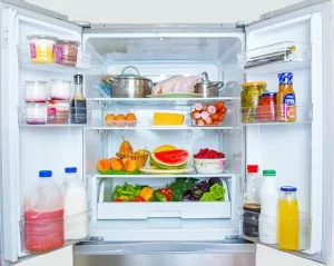 Pre-St. Patty's Sub Zero Fridge Repair: Get Your Appliances Ready! | Repair Sub Zero